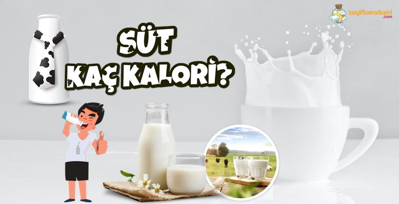 1 Bardak Süt Kaç Kalori? zayiflamaiksiri.com
